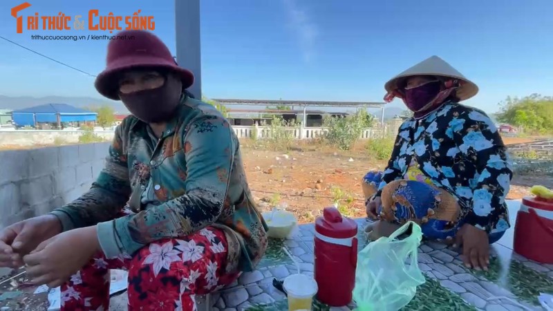 Tình trạng “xin đểu” tại nghĩa trang Phan Thiết: Chính quyền nói gì? - Hình 2 Tinh trang “xin deu” tai nghia trang Phan Thiet: Chinh quyen noi gi?-Hinh-2